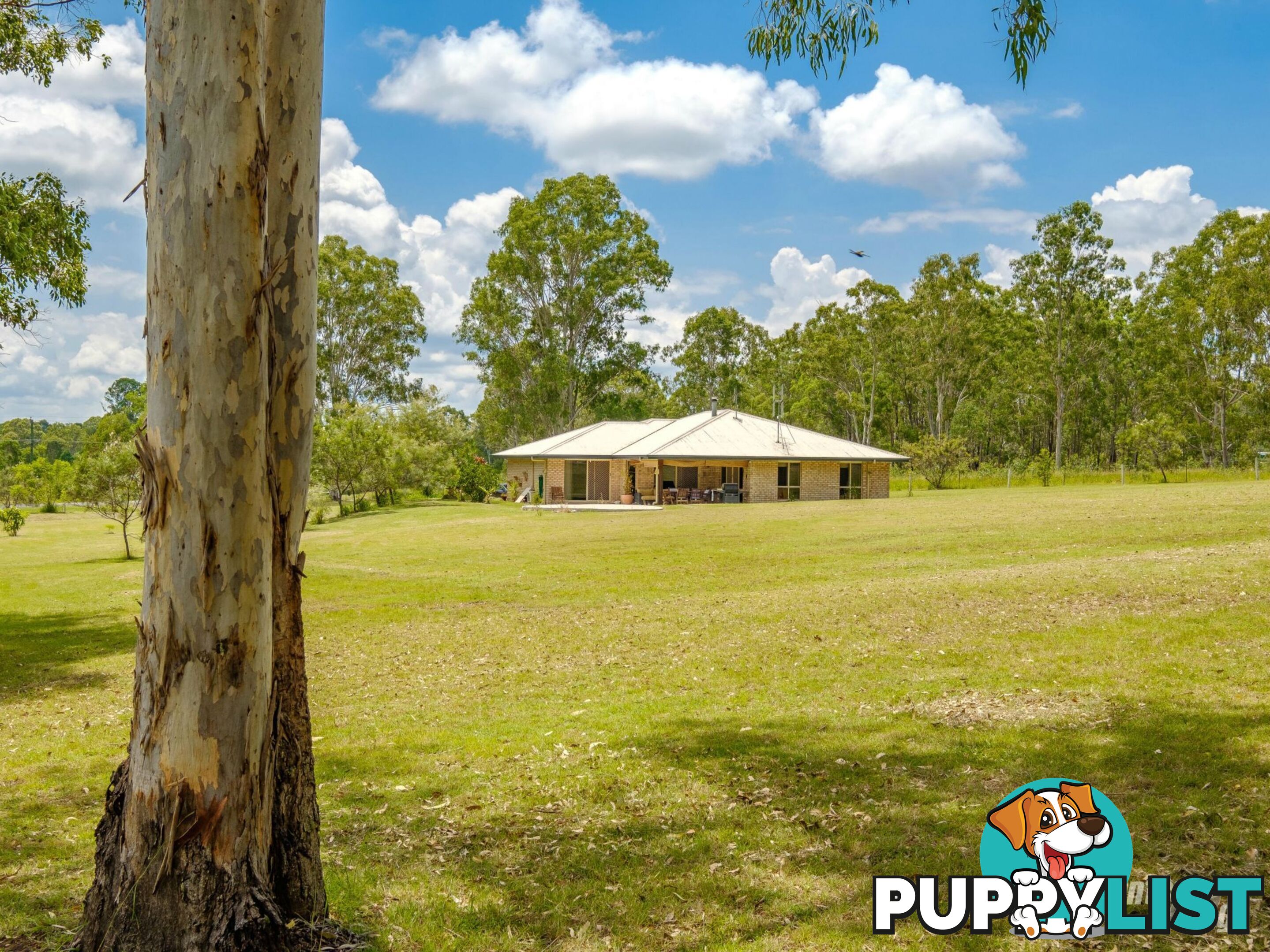 61 Settlement Road CURRA QLD 4570