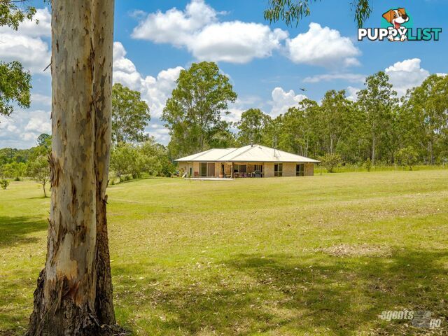 61 Settlement Road CURRA QLD 4570