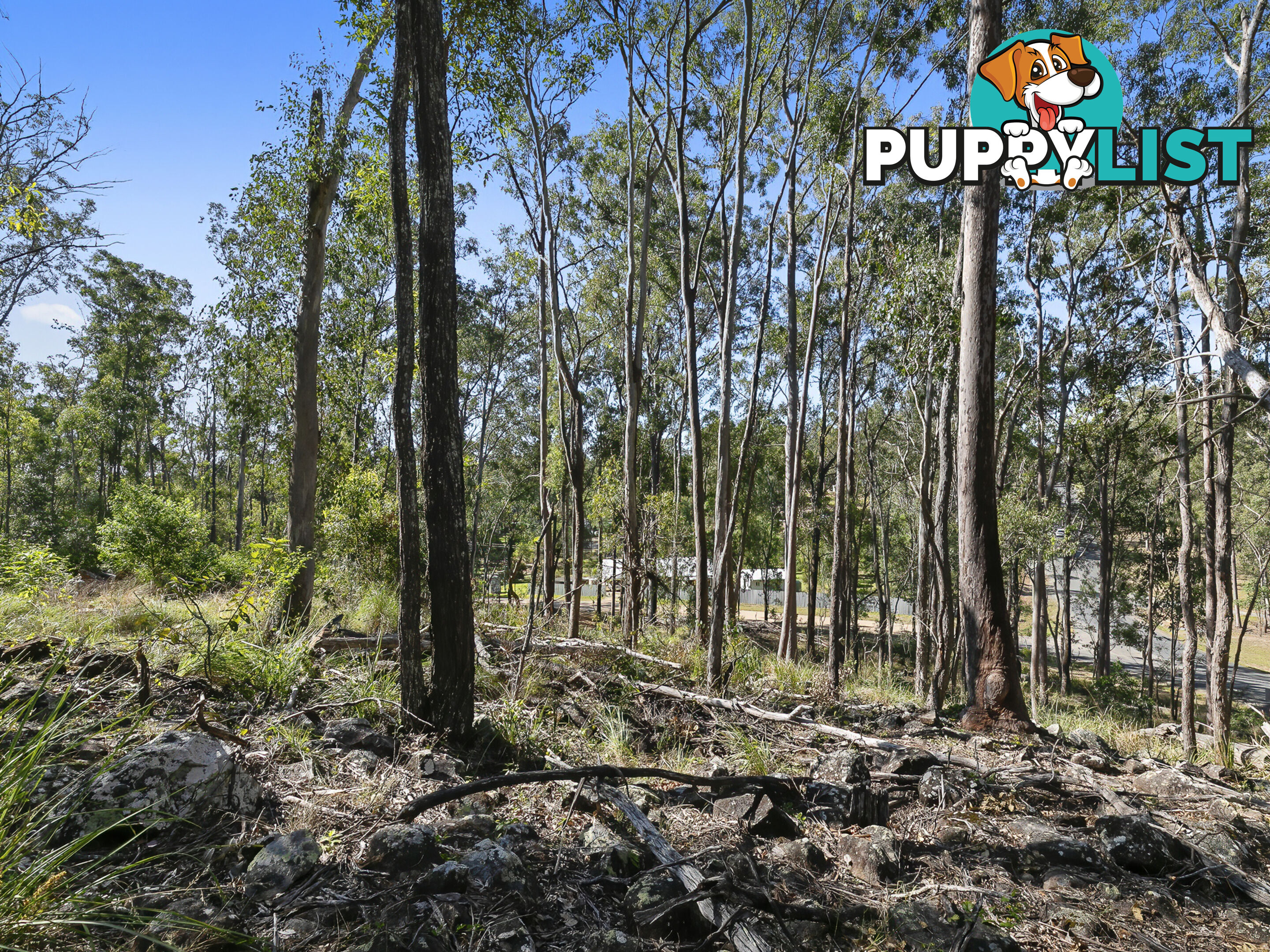 Lot 160 Arborthirtyseven Road Glenwood QLD 4570