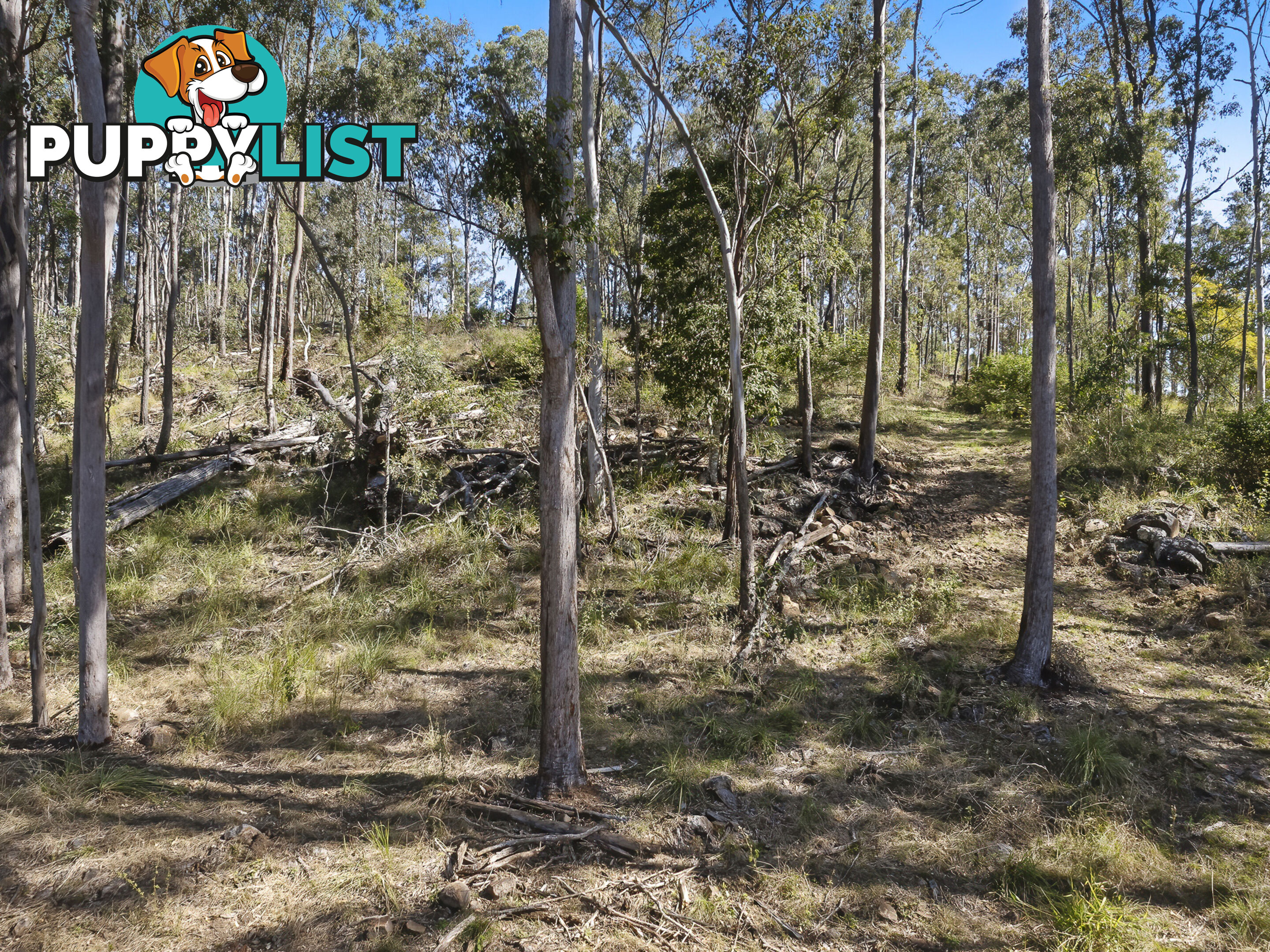 Lot 160 Arborthirtyseven Road Glenwood QLD 4570