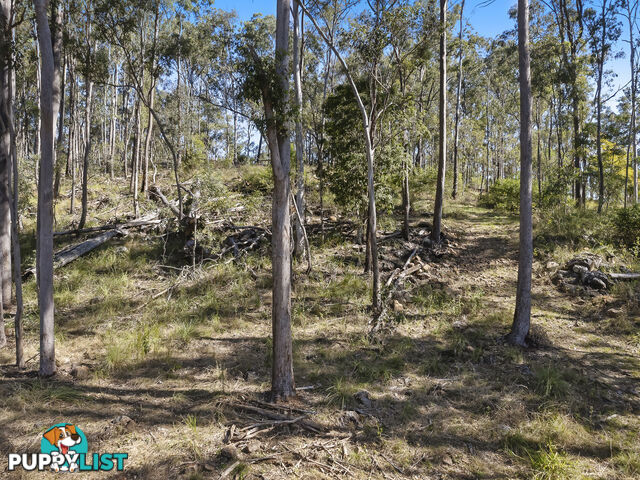 Lot 160 Arborthirtyseven Road Glenwood QLD 4570