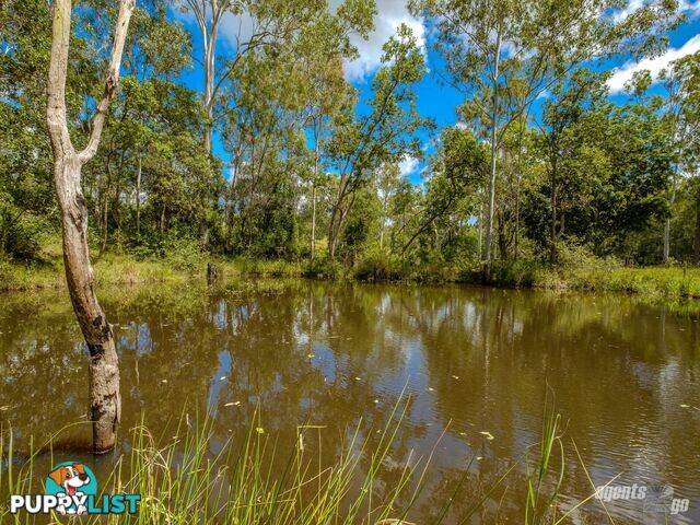 270 Burgess Road CALICO CREEK QLD 4570