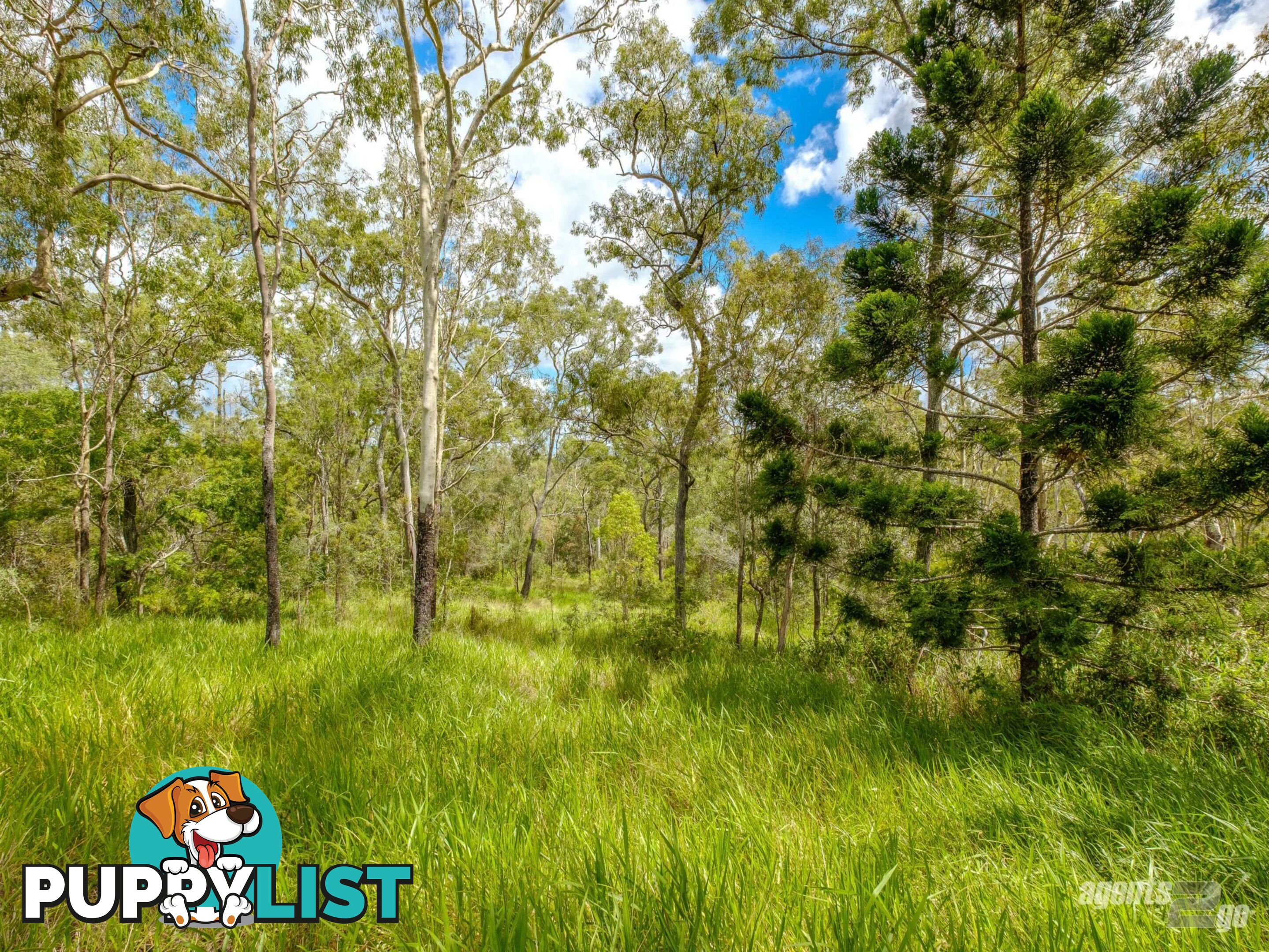 270 Burgess Road CALICO CREEK QLD 4570