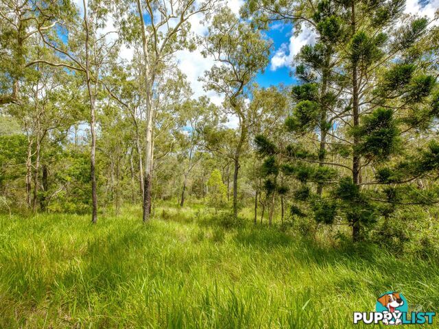 270 Burgess Road CALICO CREEK QLD 4570