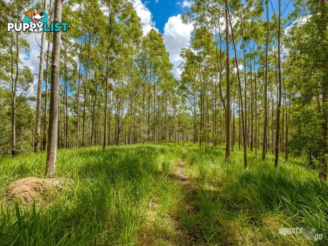 270 Burgess Road CALICO CREEK QLD 4570