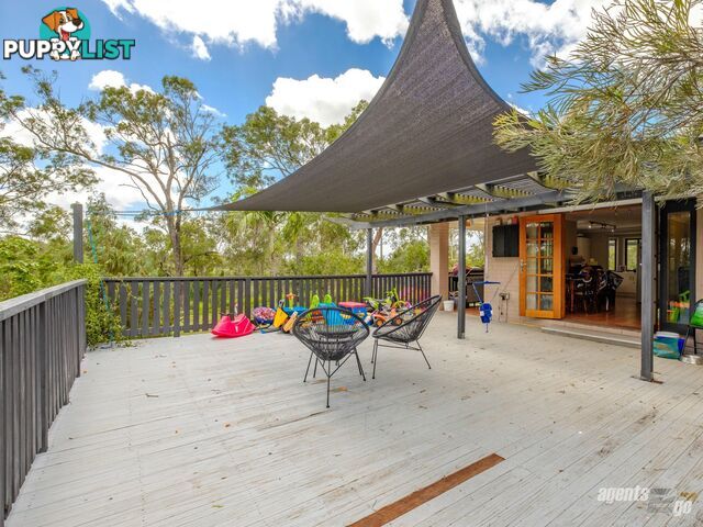 270 Burgess Road CALICO CREEK QLD 4570