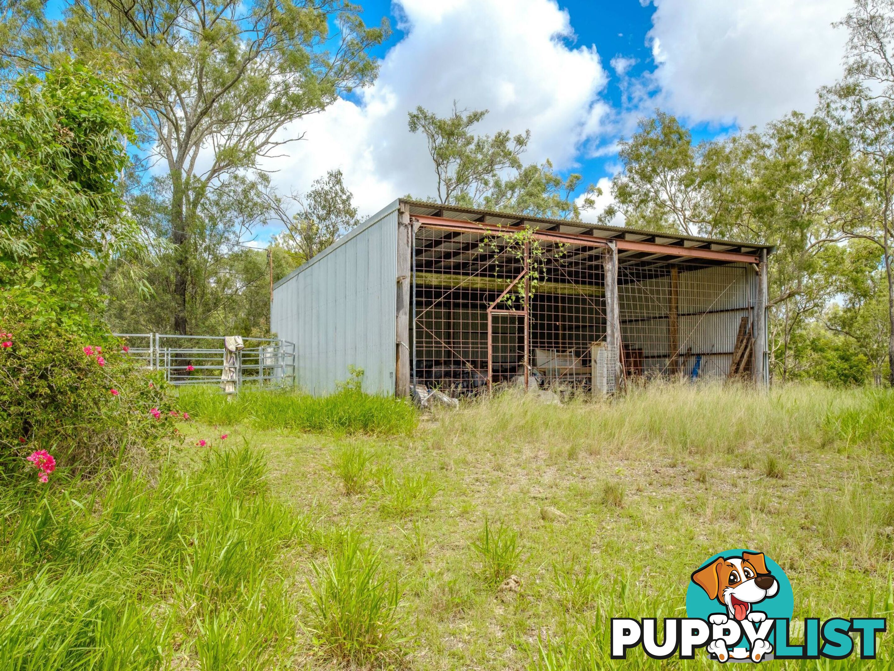 270 Burgess Road CALICO CREEK QLD 4570