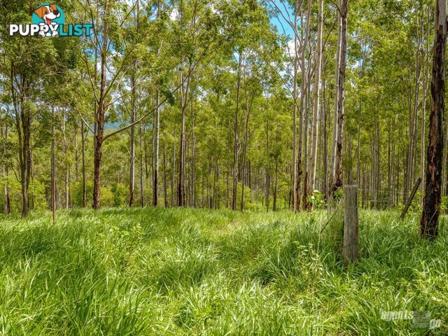 270 Burgess Road CALICO CREEK QLD 4570