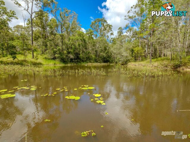 270 Burgess Road CALICO CREEK QLD 4570