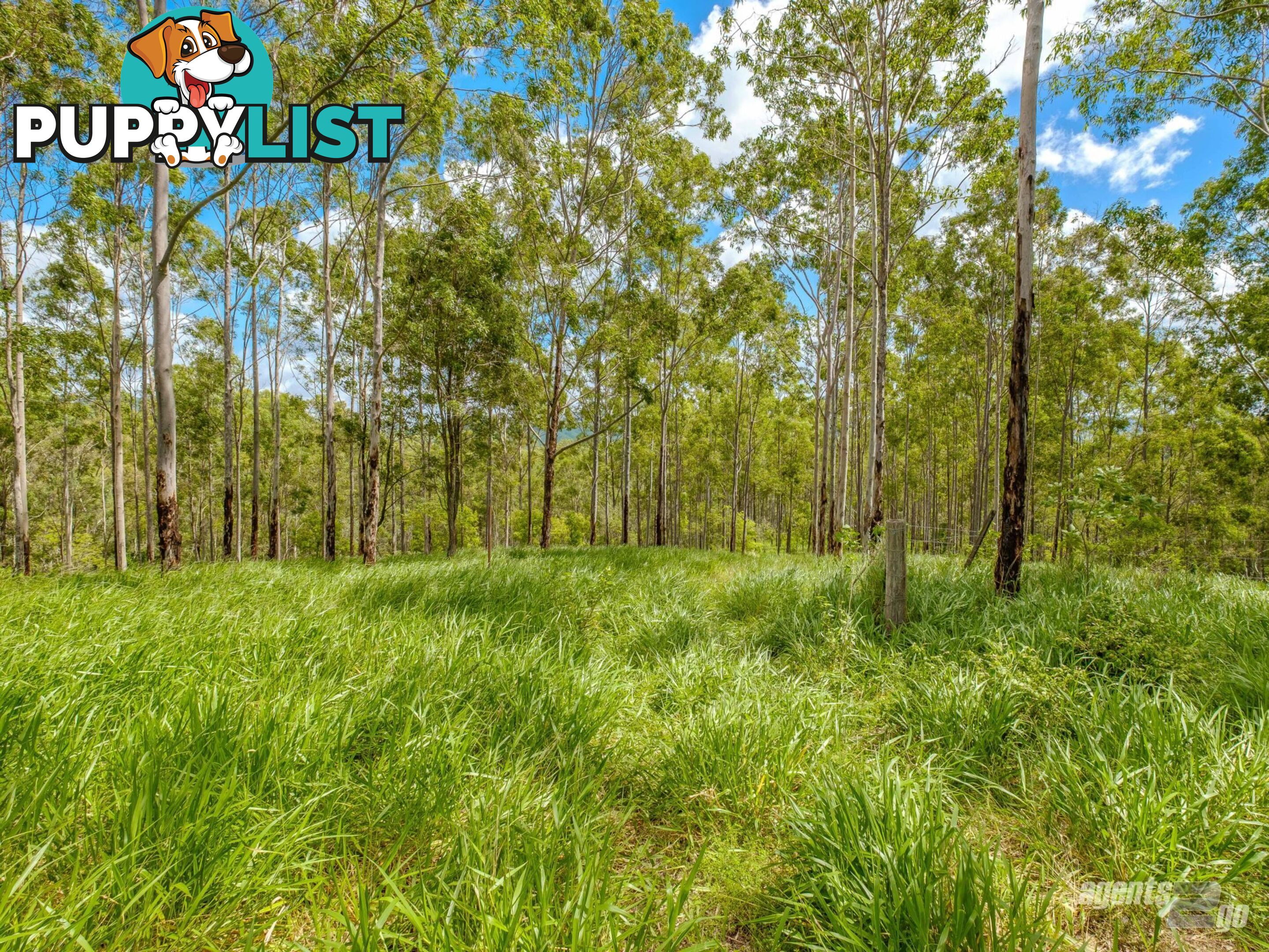 270 Burgess Road CALICO CREEK QLD 4570