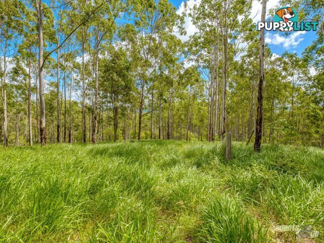 270 Burgess Road CALICO CREEK QLD 4570