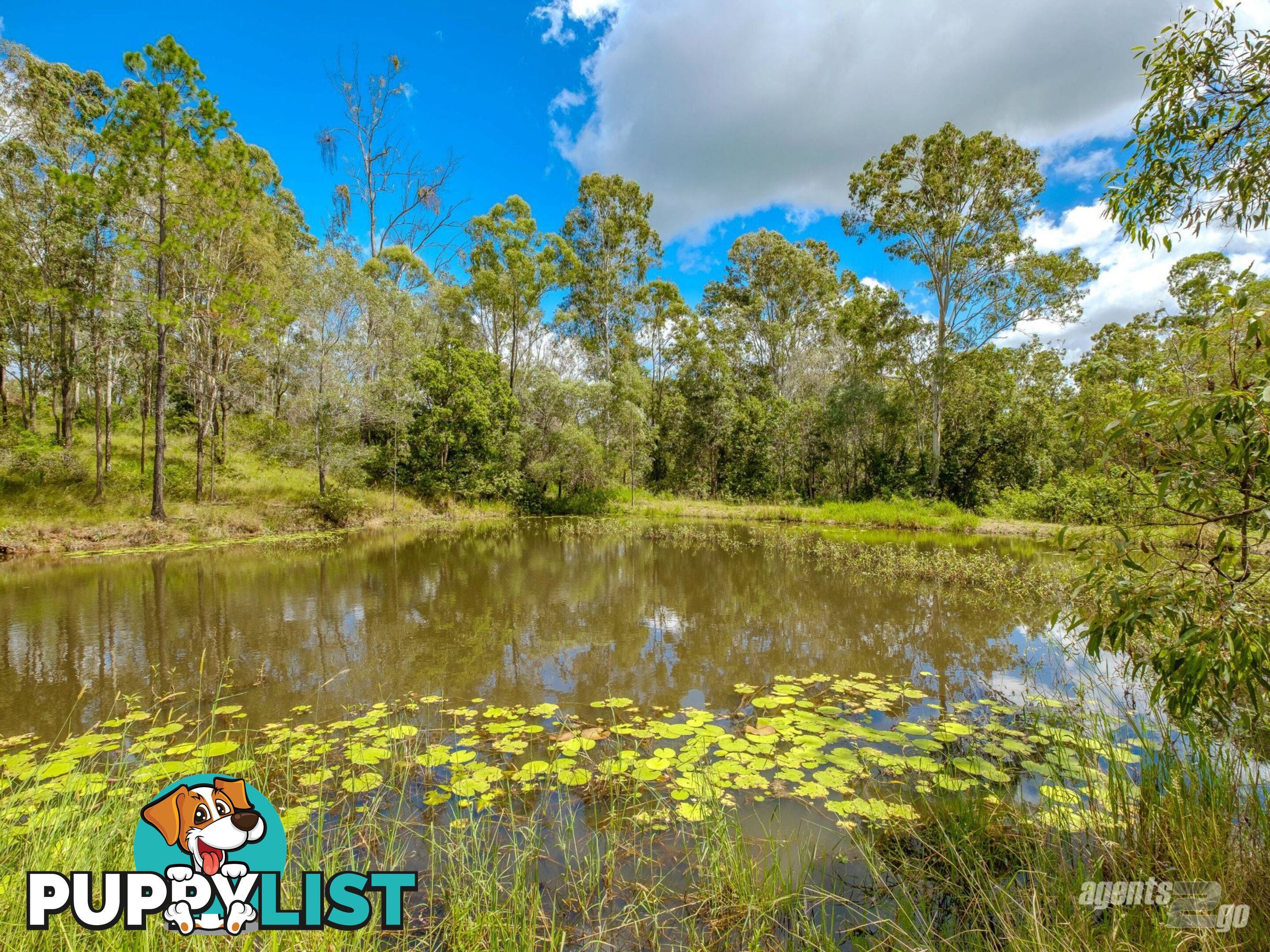 270 Burgess Road CALICO CREEK QLD 4570