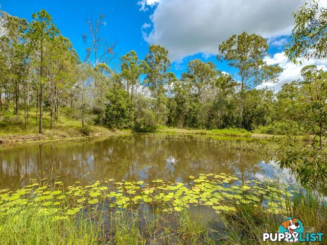 270 Burgess Road CALICO CREEK QLD 4570