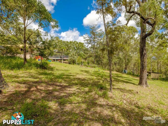 270 Burgess Road CALICO CREEK QLD 4570