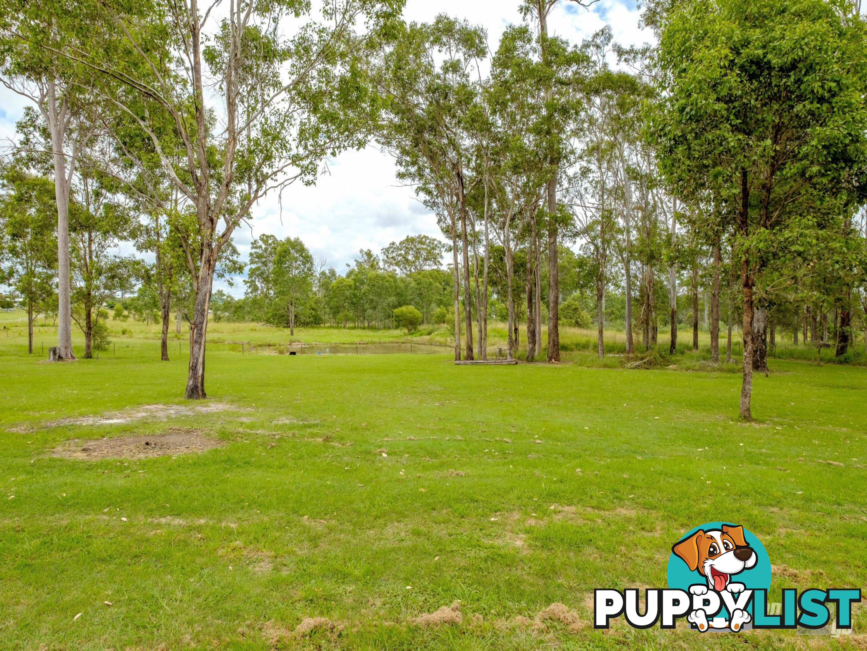 53 Jamie Avenue CURRA QLD 4570