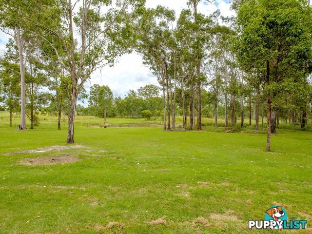 53 Jamie Avenue CURRA QLD 4570