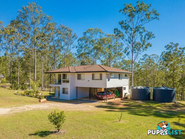 41 Arborfifteen Road GLENWOOD QLD 4570