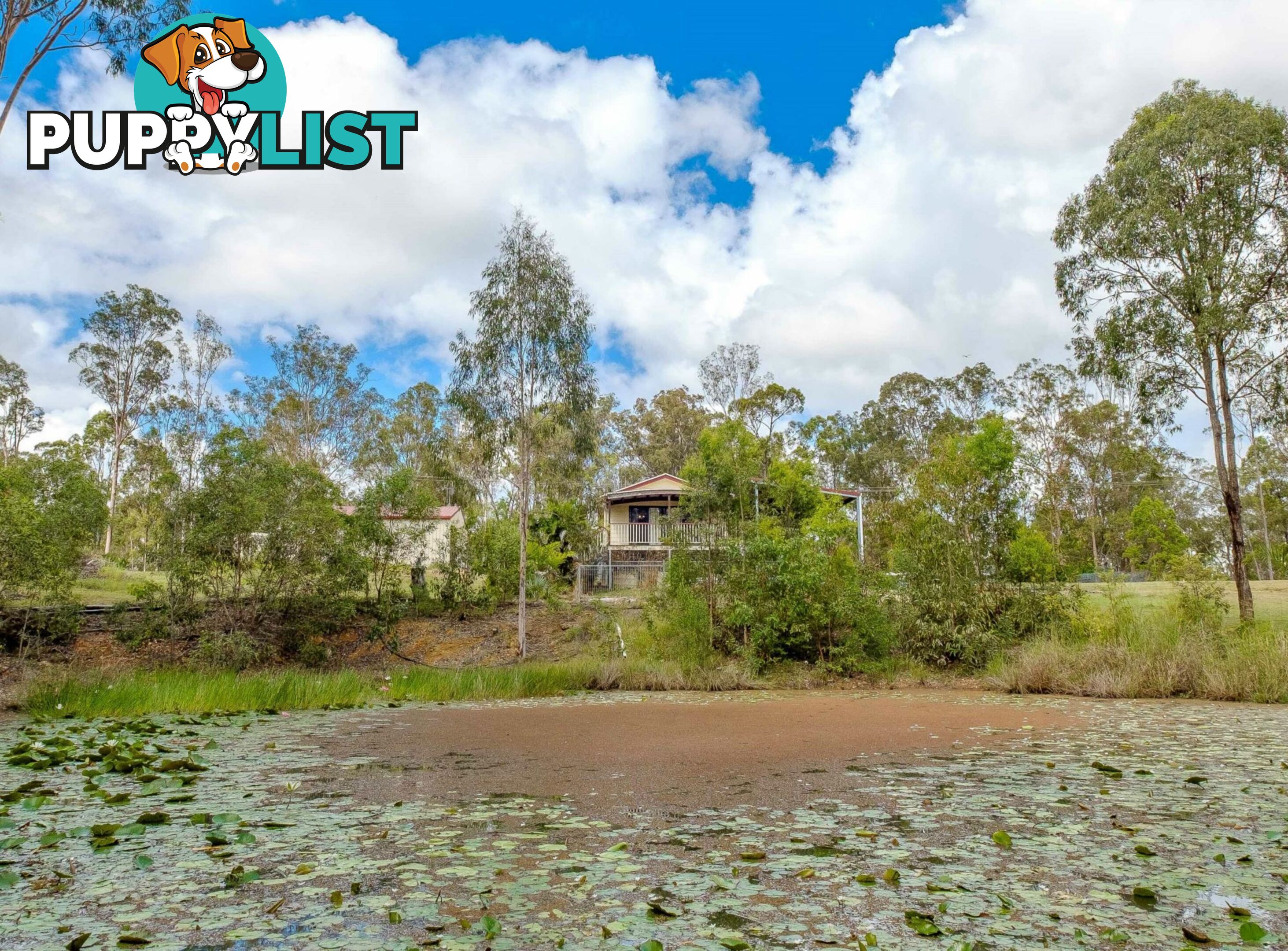 204 Lynne Drive CURRA QLD 4570