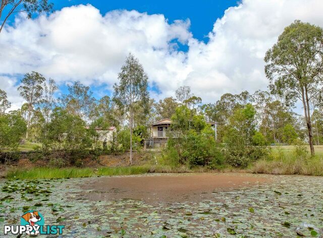 204 Lynne Drive CURRA QLD 4570