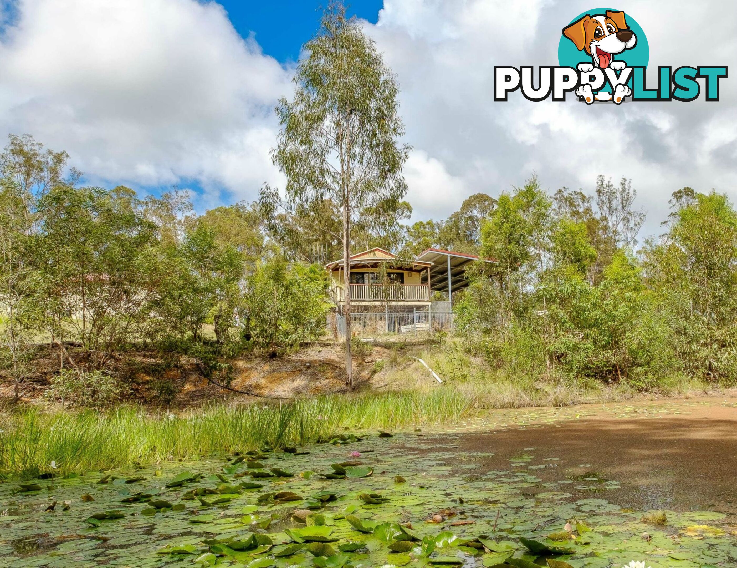 204 Lynne Drive CURRA QLD 4570