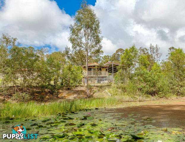 204 Lynne Drive CURRA QLD 4570