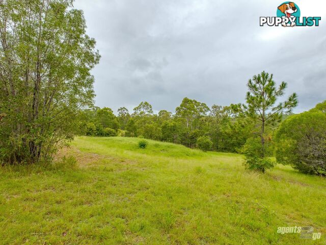 393 Arbortwelve Road GLENWOOD QLD 4570