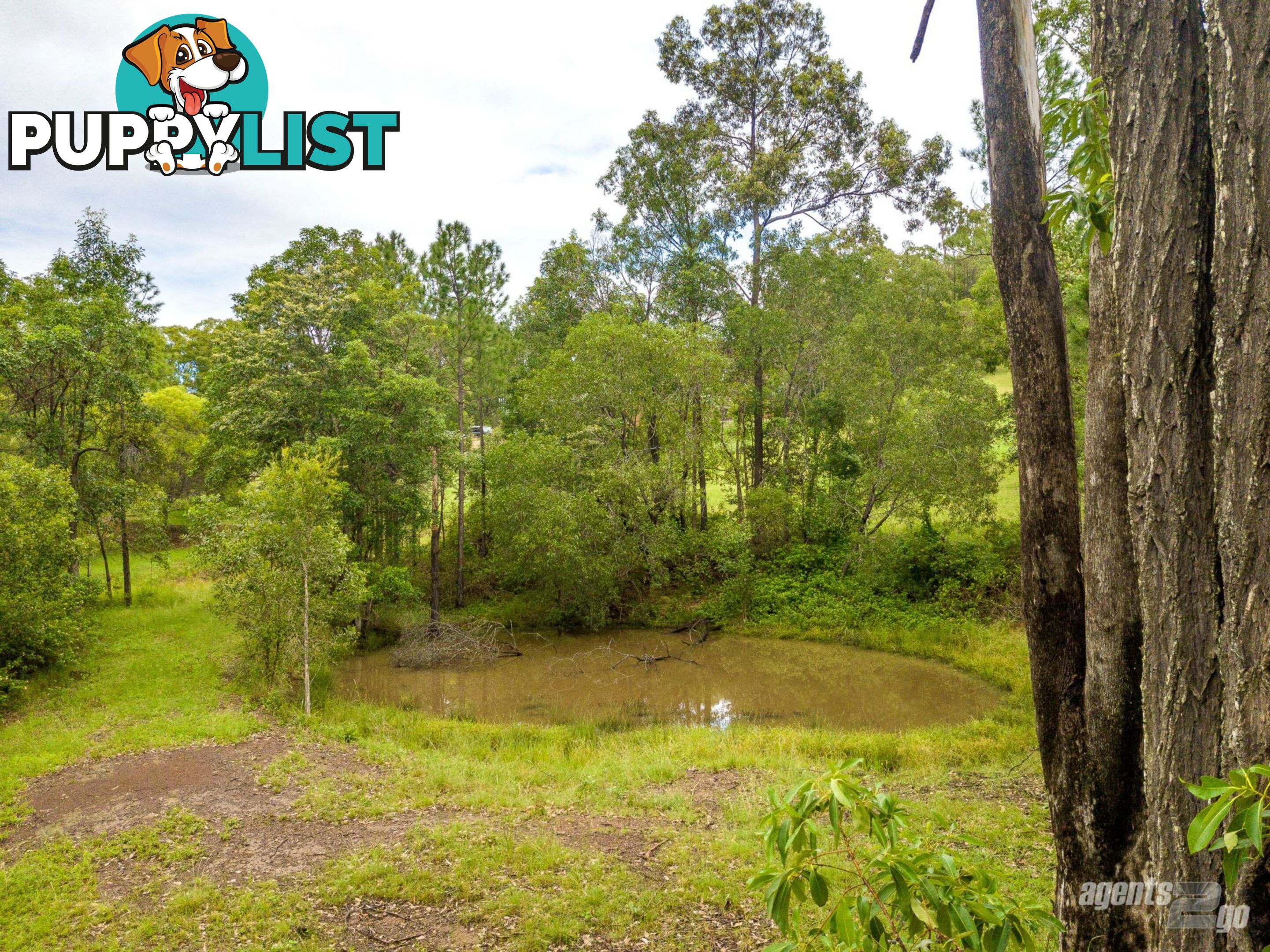 393 Arbortwelve Road GLENWOOD QLD 4570