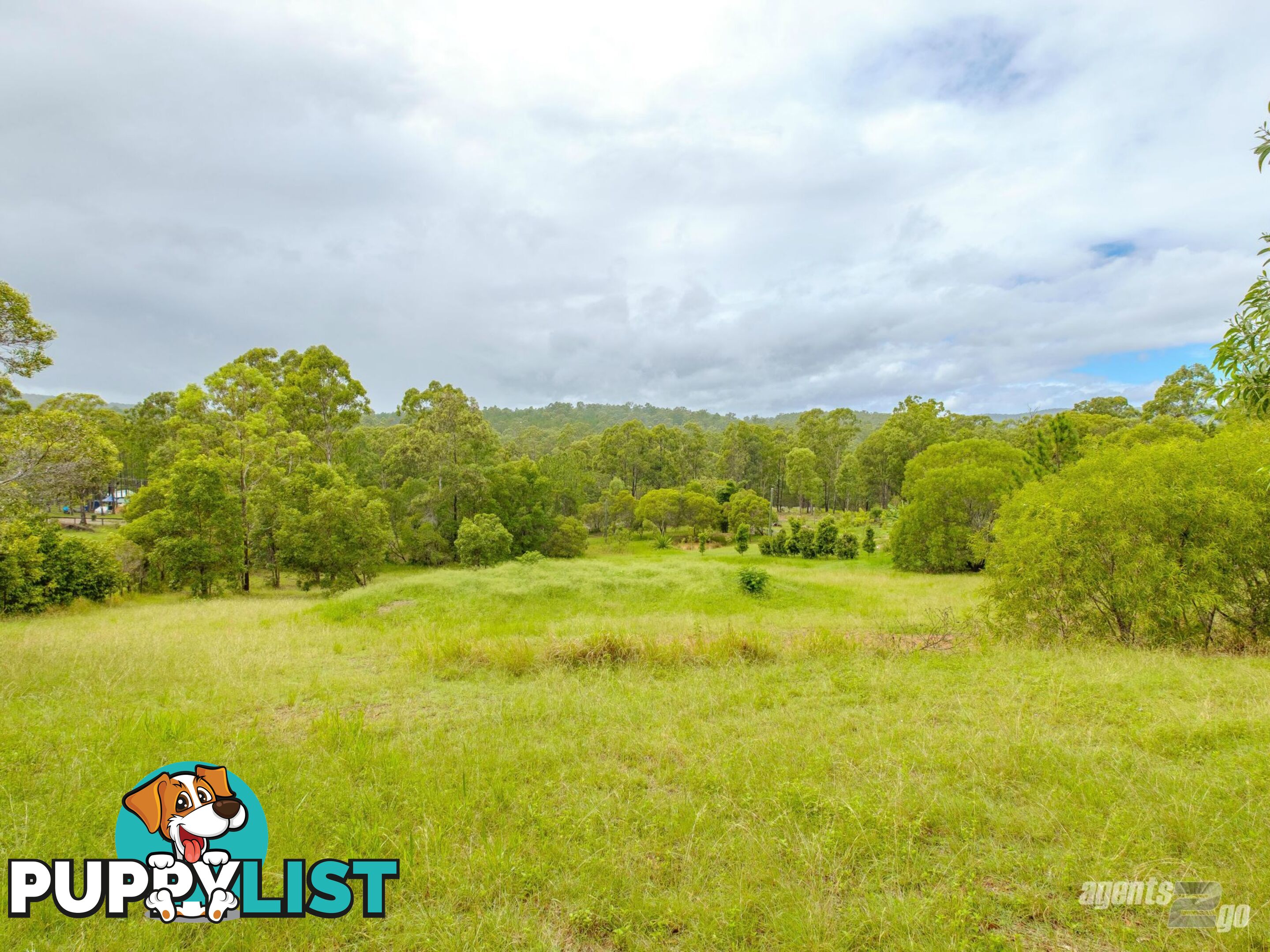 393 Arbortwelve Road GLENWOOD QLD 4570