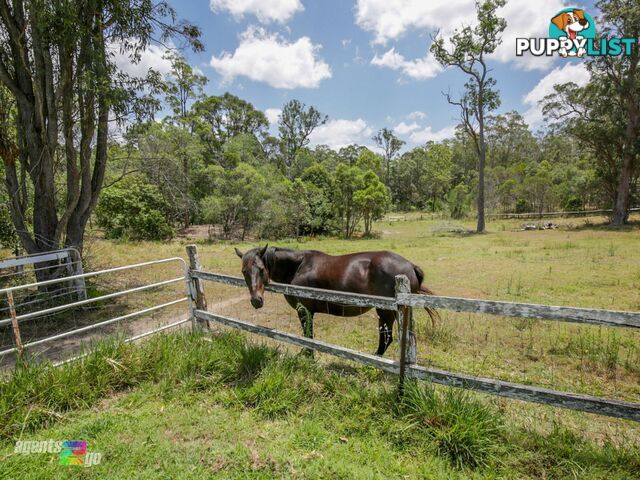 1718 Anderleigh Road ANDERLEIGH QLD 4570