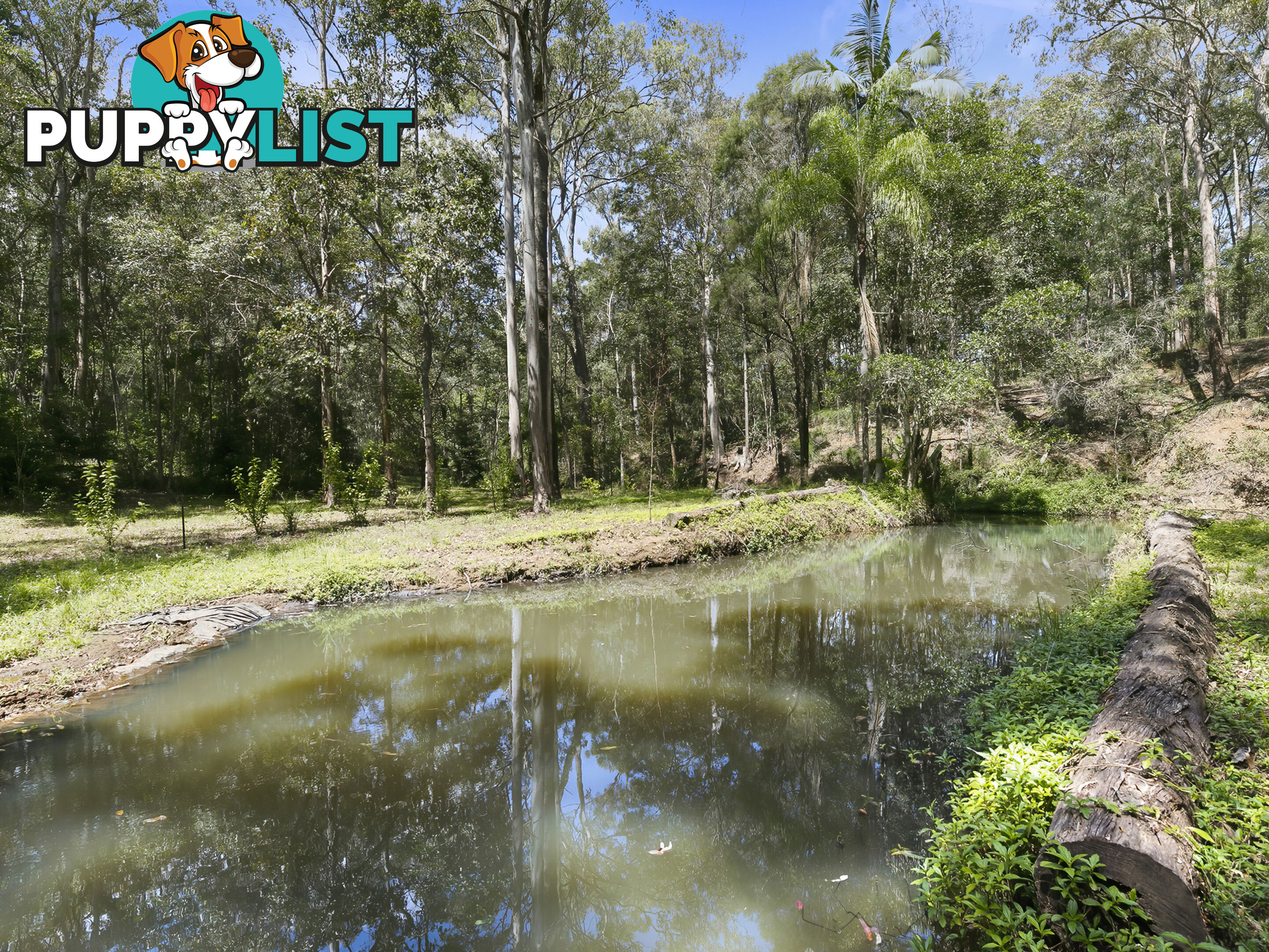 9 Alloa Ct Curra QLD 4570