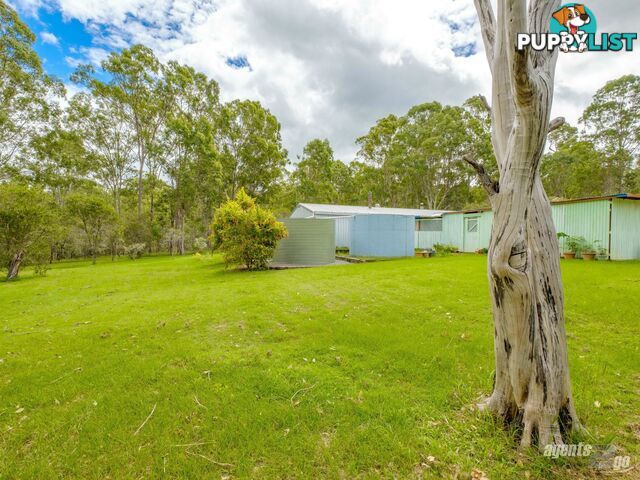 149 Flinders Drive PATERSON QLD 4570