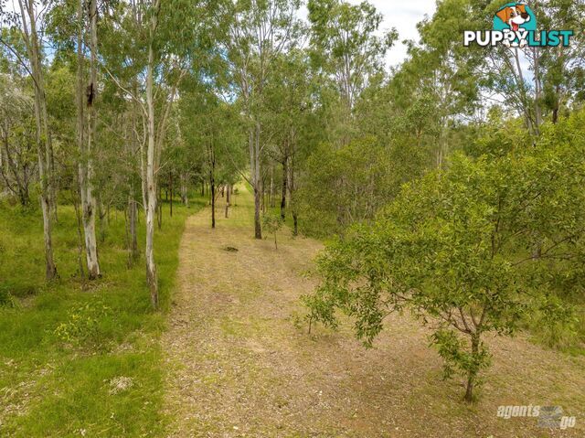 149 Flinders Drive PATERSON QLD 4570