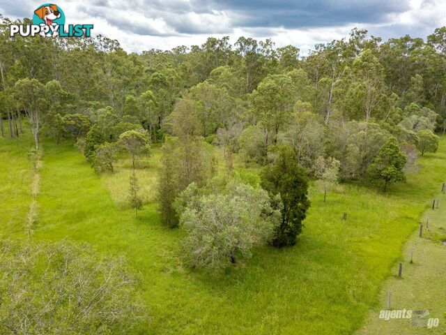 149 Flinders Drive PATERSON QLD 4570