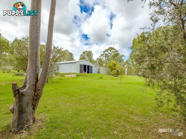 149 Flinders Drive PATERSON QLD 4570