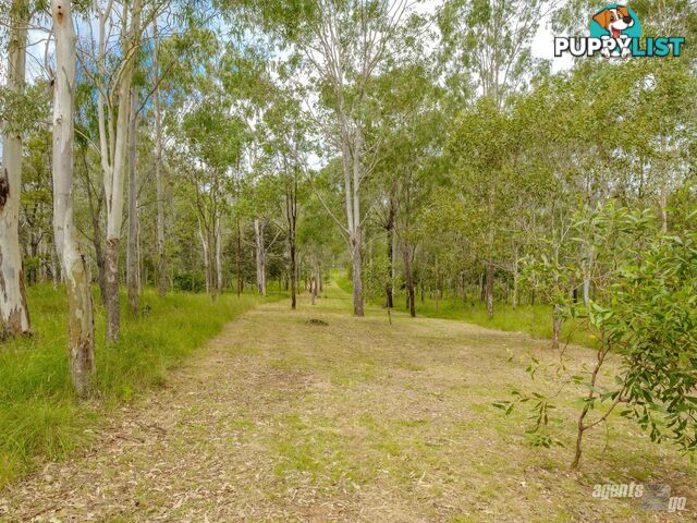 149 Flinders Drive PATERSON QLD 4570