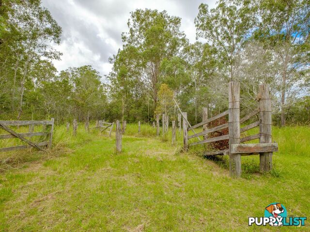 149 Flinders Drive PATERSON QLD 4570