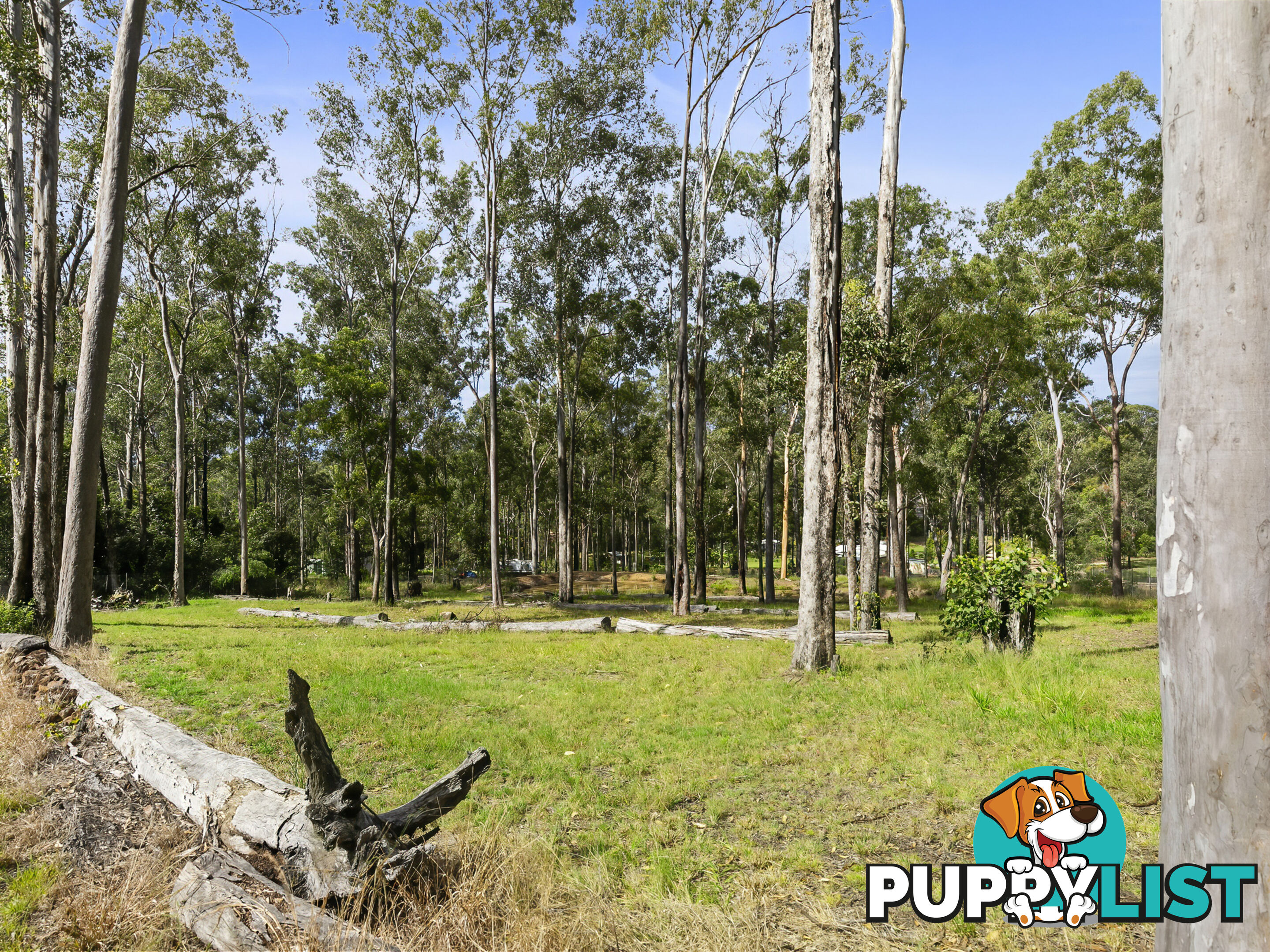 16 Varley Rd S Glenwood QLD 4570