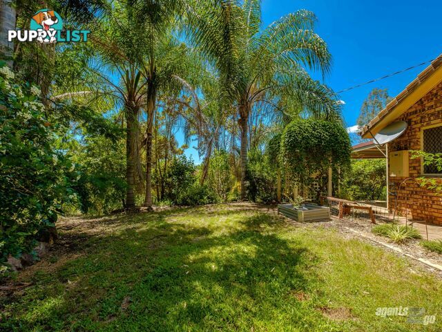 34 Kabi Crescent WIDGEE QLD 4570