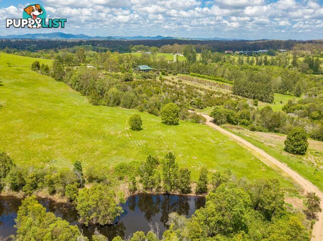 151 Tatnell Road North Deep Creek QLD 4570