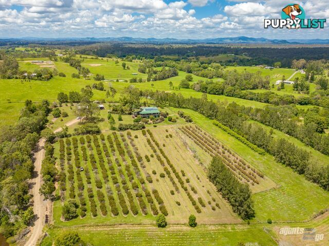 151 Tatnell Road North Deep Creek QLD 4570