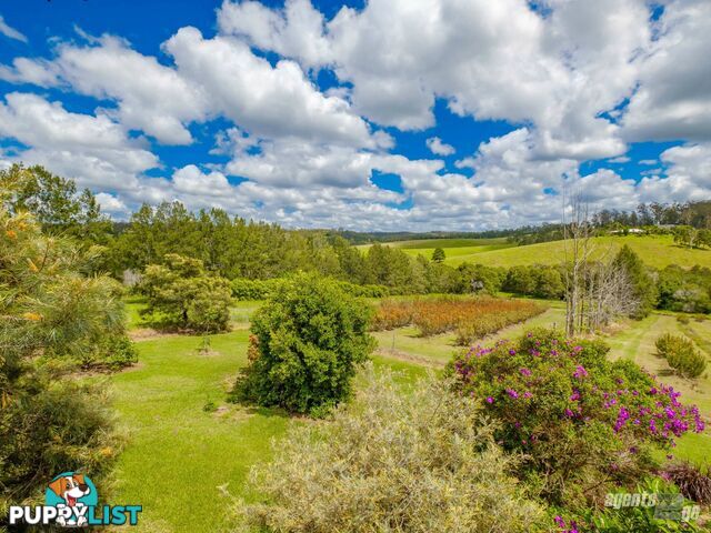 151 Tatnell Road North Deep Creek QLD 4570