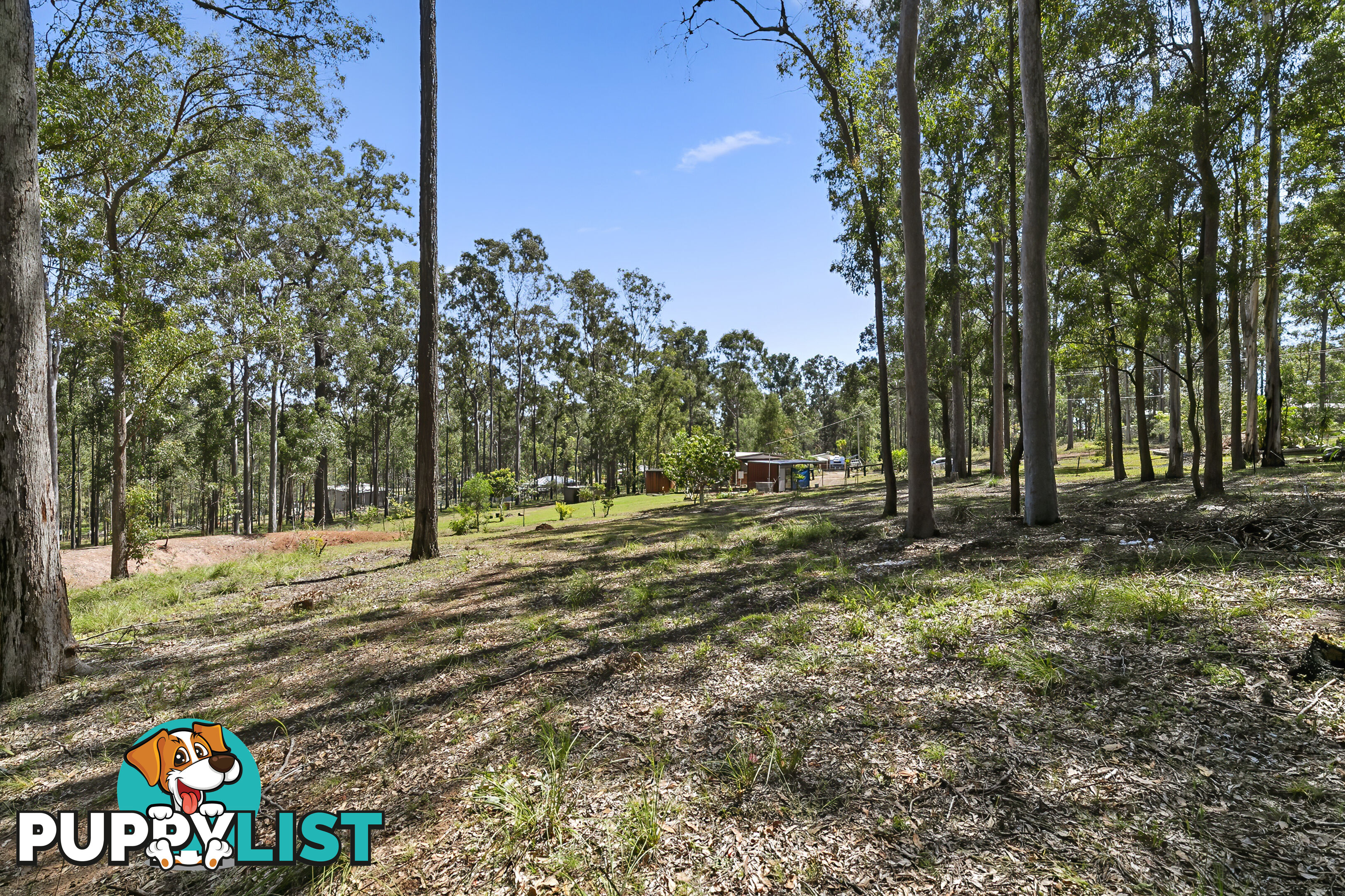 54 Spiegel Rd Glenwood QLD 4570