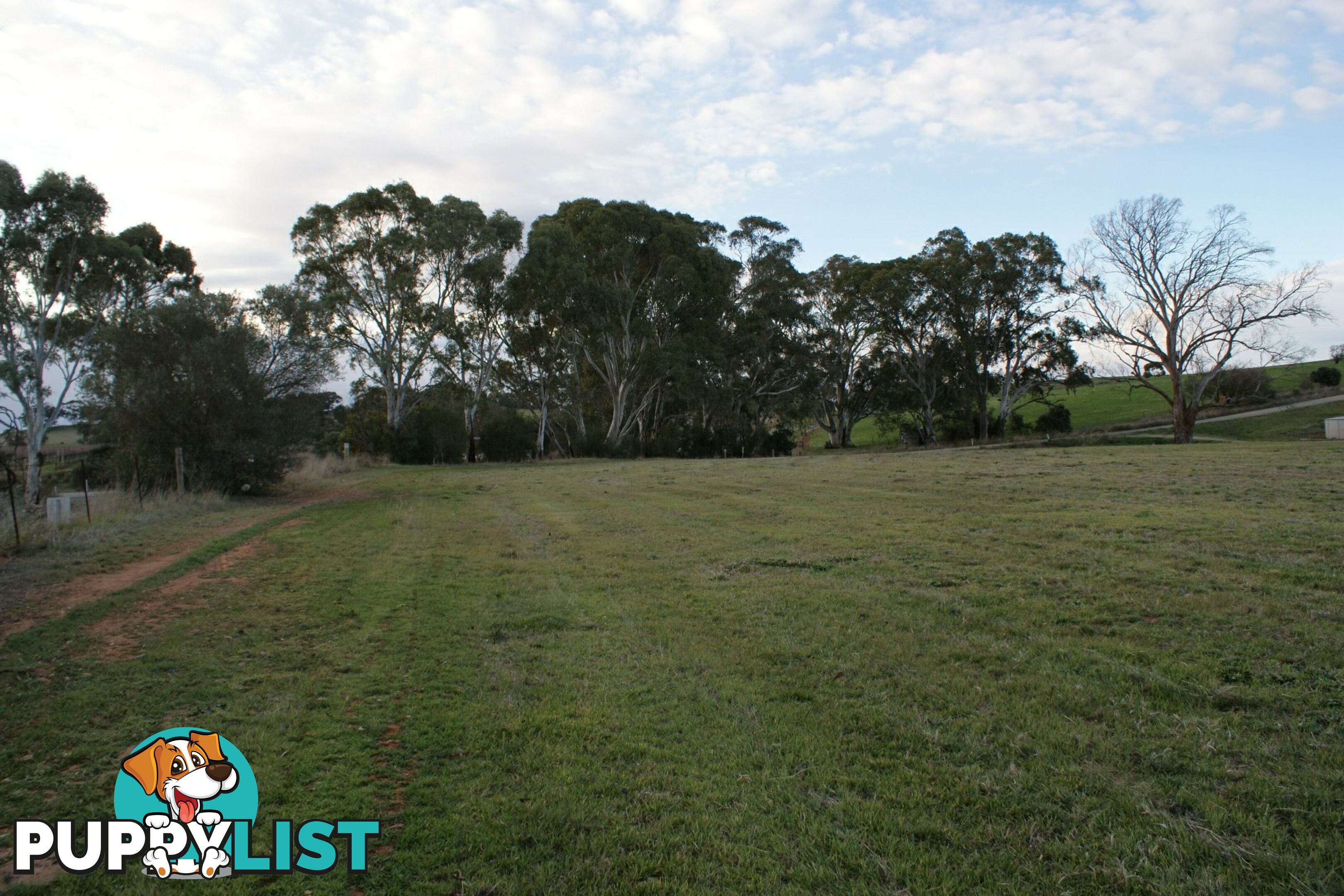 Lot 300 Burra Street MINTARO SA 5415