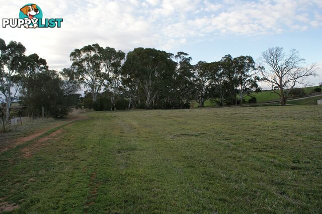 Lot 300 Burra Street MINTARO SA 5415