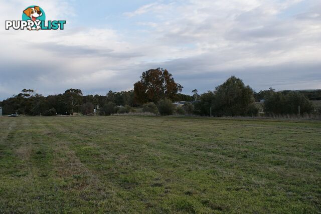 Lot 300 Burra Street MINTARO SA 5415