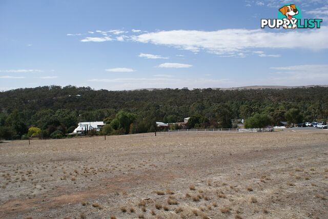 Lot 3 Stanley Place CLARE SA 5453