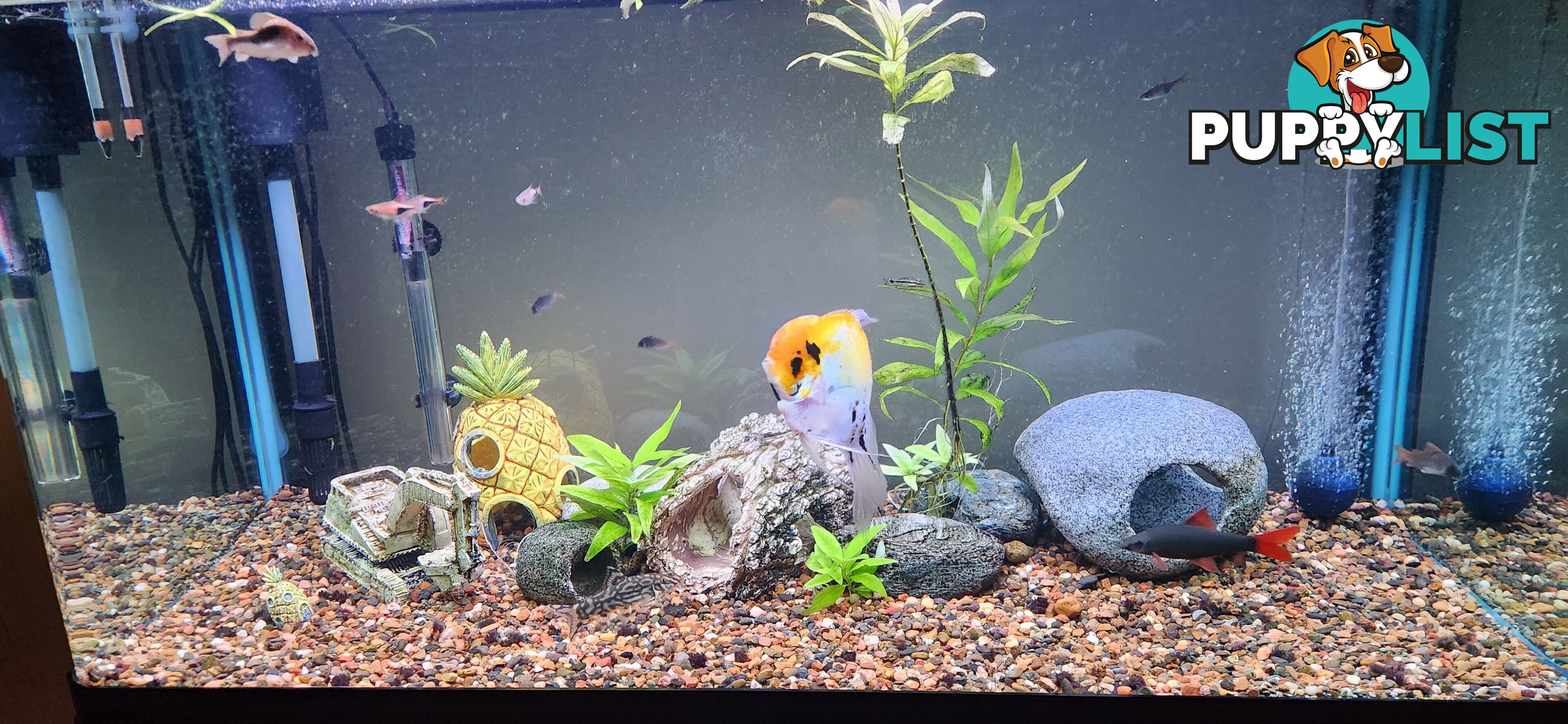 Aqua One Fish Tank / Aquarium