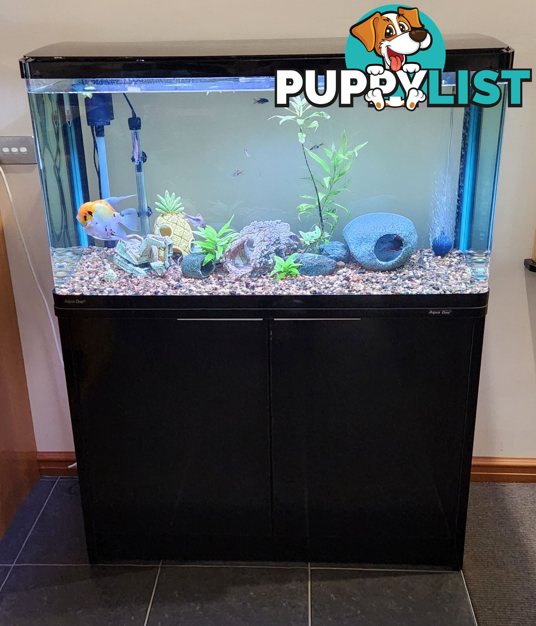 Aqua One Fish Tank / Aquarium