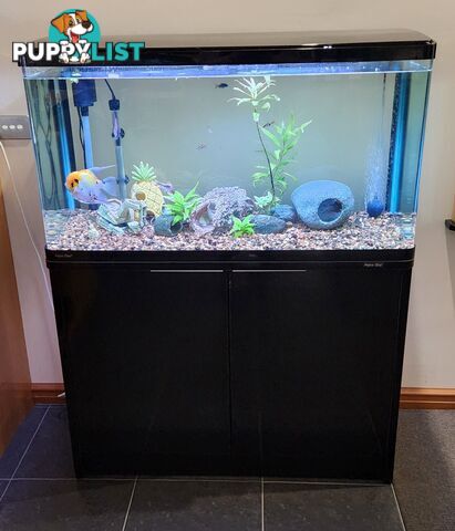 Aqua One Fish Tank / Aquarium