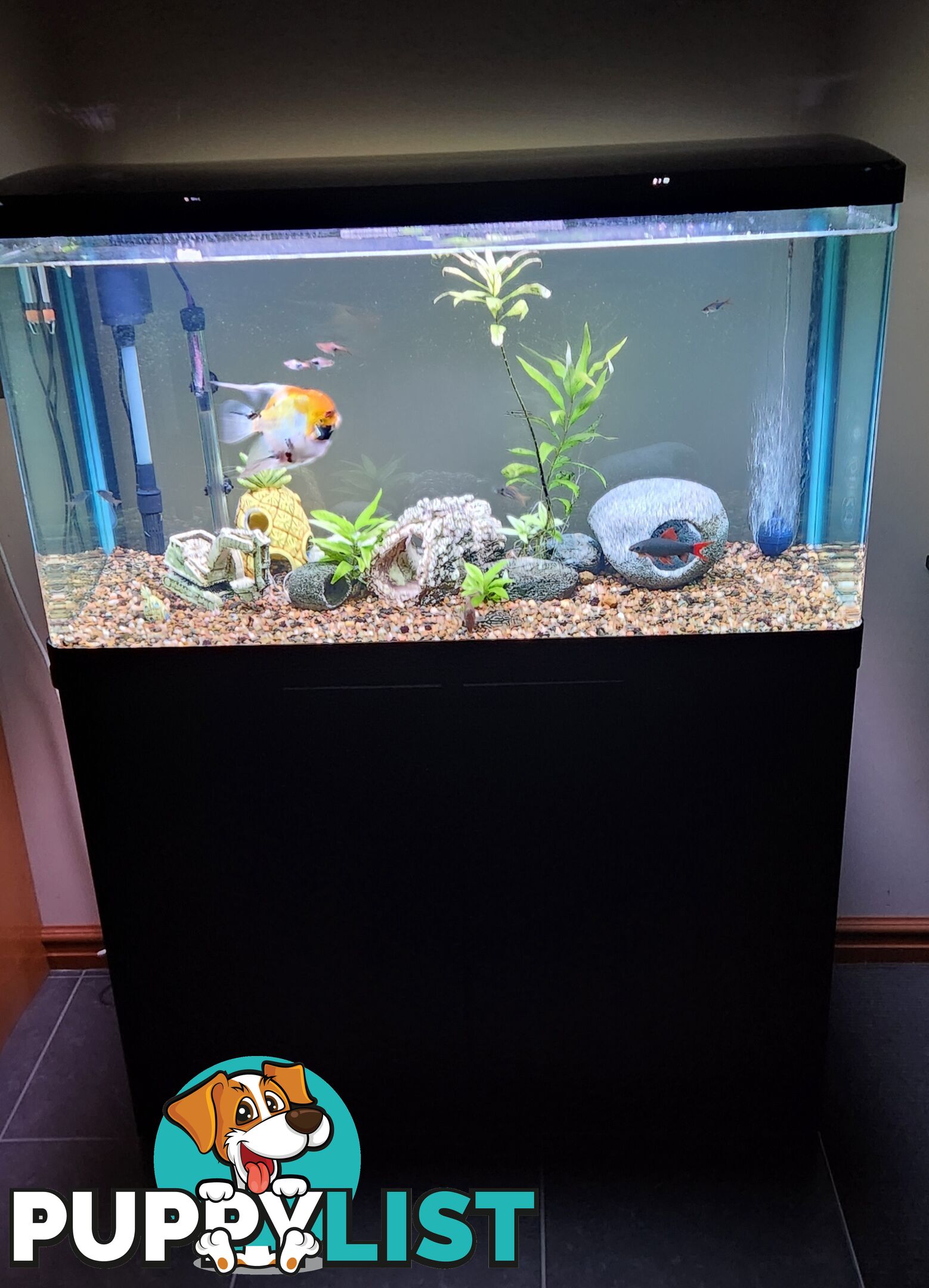 Aqua One Fish Tank / Aquarium